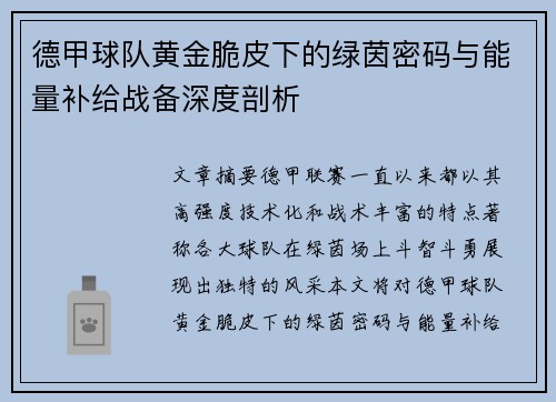 德甲球队黄金脆皮下的绿茵密码与能量补给战备深度剖析